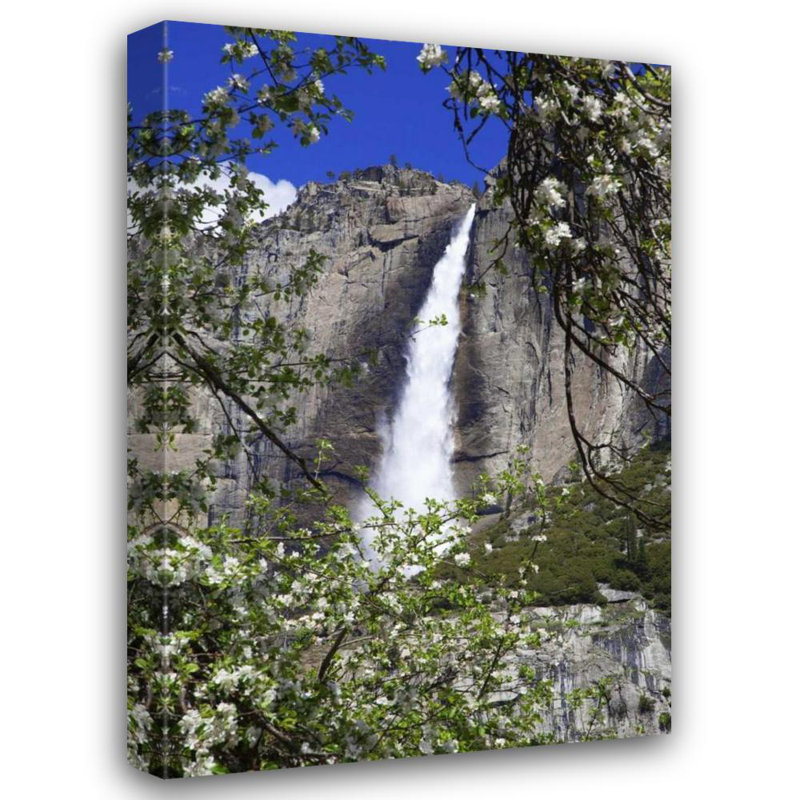 Art sur toile tendue, Flaherty, Dennis Gallery: CA, pommier Yosemite et chutes Upper Yosemite, H 48 po x l 33 po