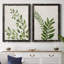 Botanical Wash I - ensemble de 2 reproductions-463140523-463140522-463140516