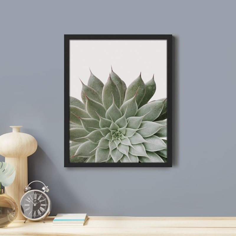 " Desert Succulent Close Up Echeveria Green Flower ", 10" H x 8" W, Black