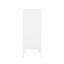 Armoire d'appoint en métal 32 po Naomi en blanc-953145046