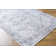 Hewet Oriental Indoor Rug