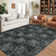 Modern Abstract Area Rugs for Living Room, Anti-Slip Carpet for Living Room, Bedroom
