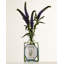 Flowers Lavender Reed Diffuser