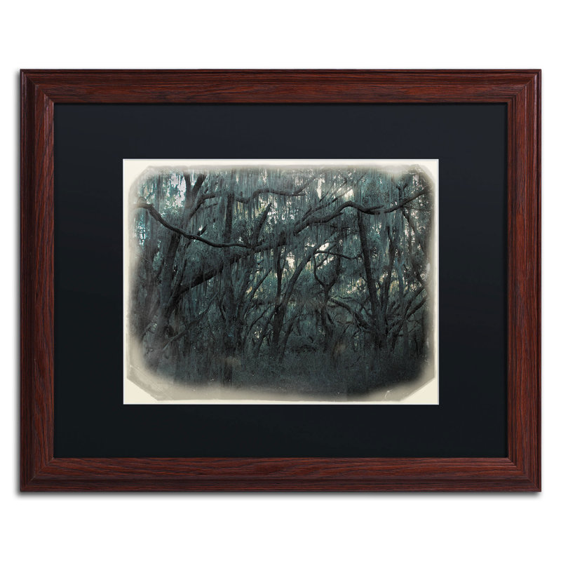 « rêves » par patty tuggle, reproduction de photo encadrée Haajirah, H 16 po x l 20 po, Brun