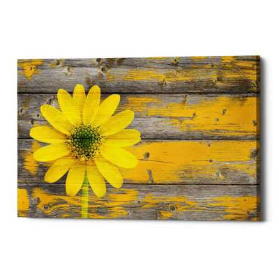 «Rustic Daisy» par Bess Hamiti, impression sur toile tendue