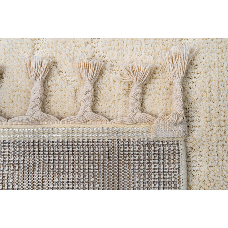 Videlle Moroccan Indoor Rug, Rectangle 2'8" x 4'