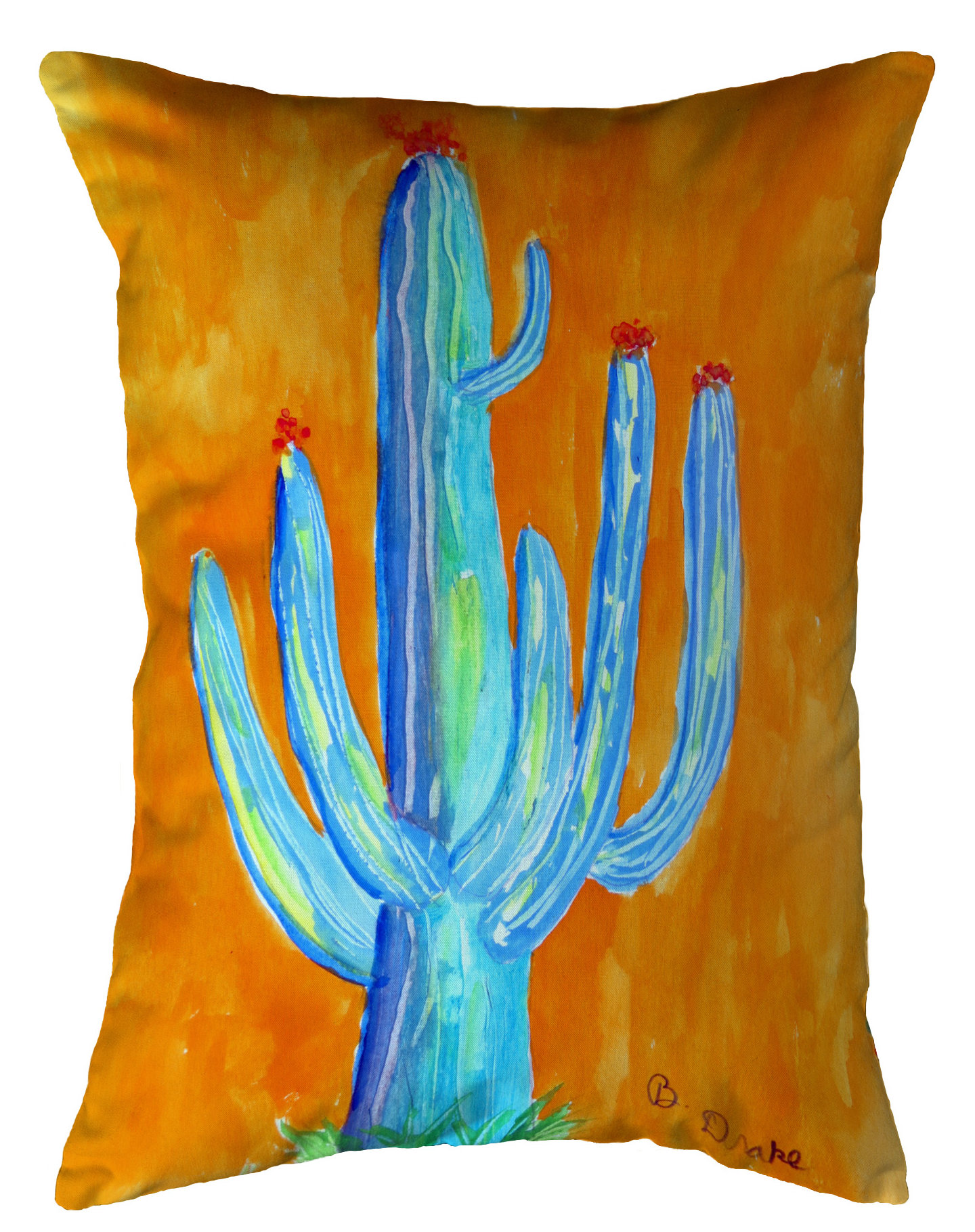 Cactus Unusual Throw Pillows Betsy Drake Interiors Tall Cactus