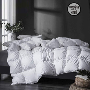 https://assets.wfcdn.com/im/55870884/resize-h310-w310%5Ecompr-r85/2537/253738043/750-fp-all-season-feather-down-blend-comforter-ultra-soft-hotel-collection-duvet-insert-white.jpg