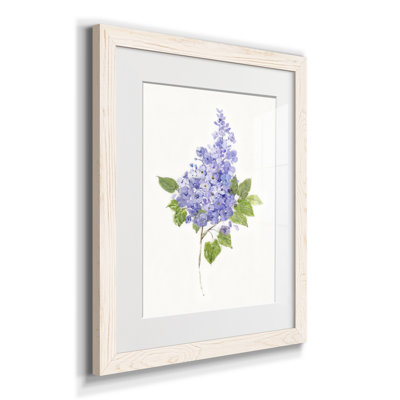 Lilas botanique délicat - impression