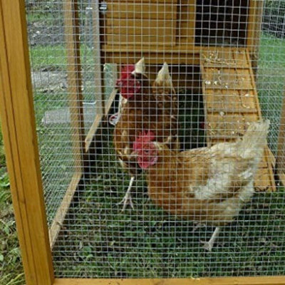 Quincaillerie de chiffon 1/2 pouce 36inx50ft 19Gauge galvanisé après treillis de cage en treillis carré en treillis de clôture pour lapin