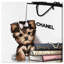 «Fashion Book Yorkie Glam Custom», impression-33631690-66971888