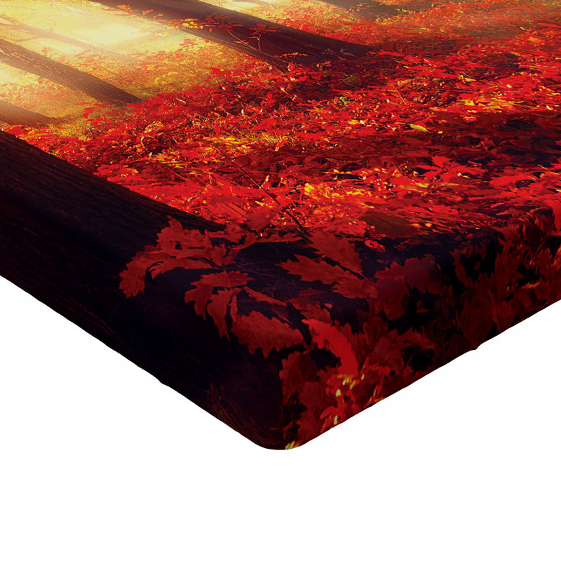 Drap-housse Woodland, Drap-housse de taille double