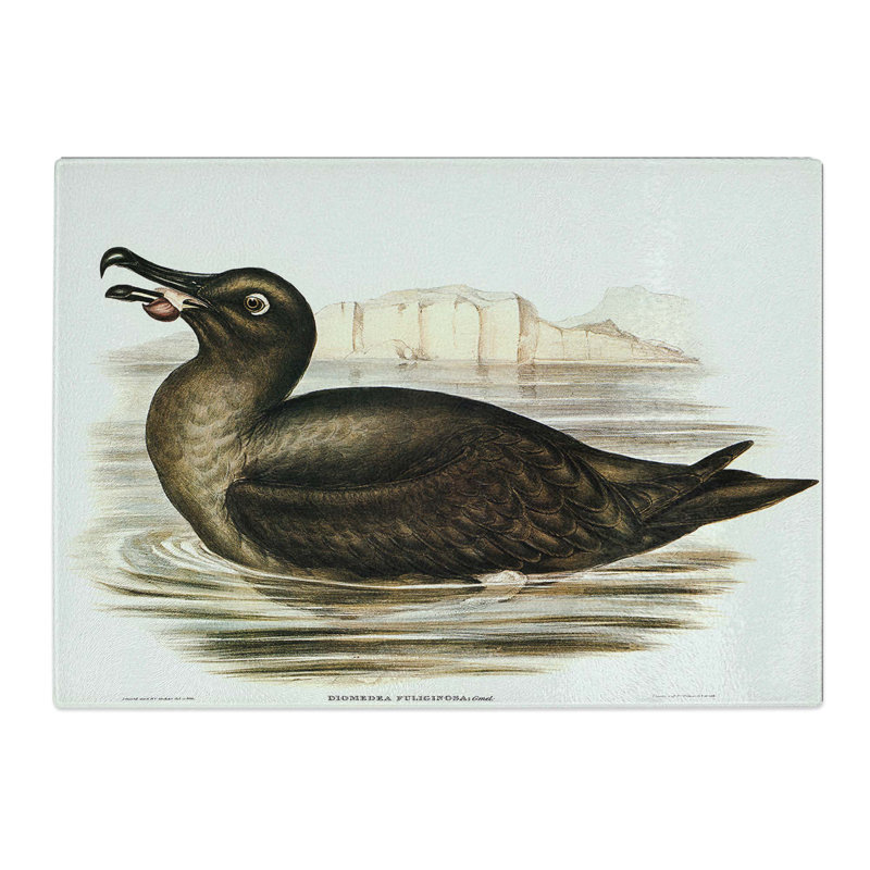 Tempered Glass Sooty Albatross by Elizabeth Gould Chopping Board, 28.5 cm x 20 cm