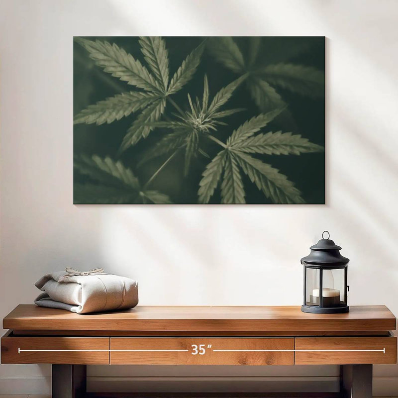 Marijuana feuillue, H 16 po x l 24 po