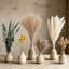 Bouquet d'herbes de pampas séchées - décor d'herbe de pampas boho 100% naturel pour la maison, grandes fleurs séchées pour vase, décor de chambre côtière et scandinave, centre de table de mariage, pampas blanches avec eucalyptus