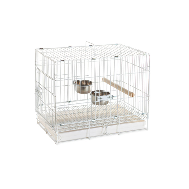 Cage à oiseaux 