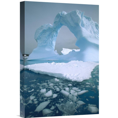 " Antarctica Antarctic Peninsula Petermann Island ' "