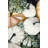 Fall Pumpkins Print On Canvas
