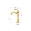 Jost Mono Basin Mixer
