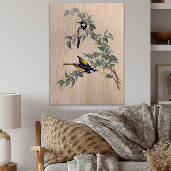 Winston Porter Vintage Australian Birds On A Branch On Wood Print | Wayfair