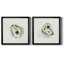 «Old Salt Shell I», ensemble de 2 reproductions d'art encadrées-2118285822-2048829126-2048829120