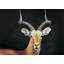 Antilope - Toile grotte pour animaux