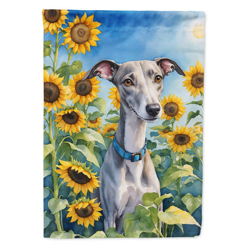 Lévrier irlandais dans le drapeau du jardin de tournesols, Lévrier Whippet