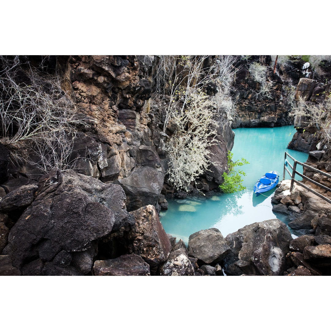 Galapagos Insel von Kalistratova - Kunstdrucke auf Leinwand