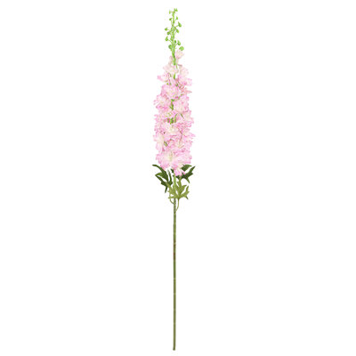 Brume artificielle Delphinium