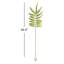 42.5-Inch Tree Fern Stem