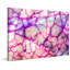 Wrapped Canvas Print-17554144
