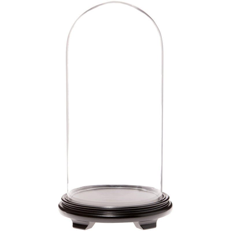 Cloche en verre 9,75 "x 20" Brighton, Base en placage de bois noir