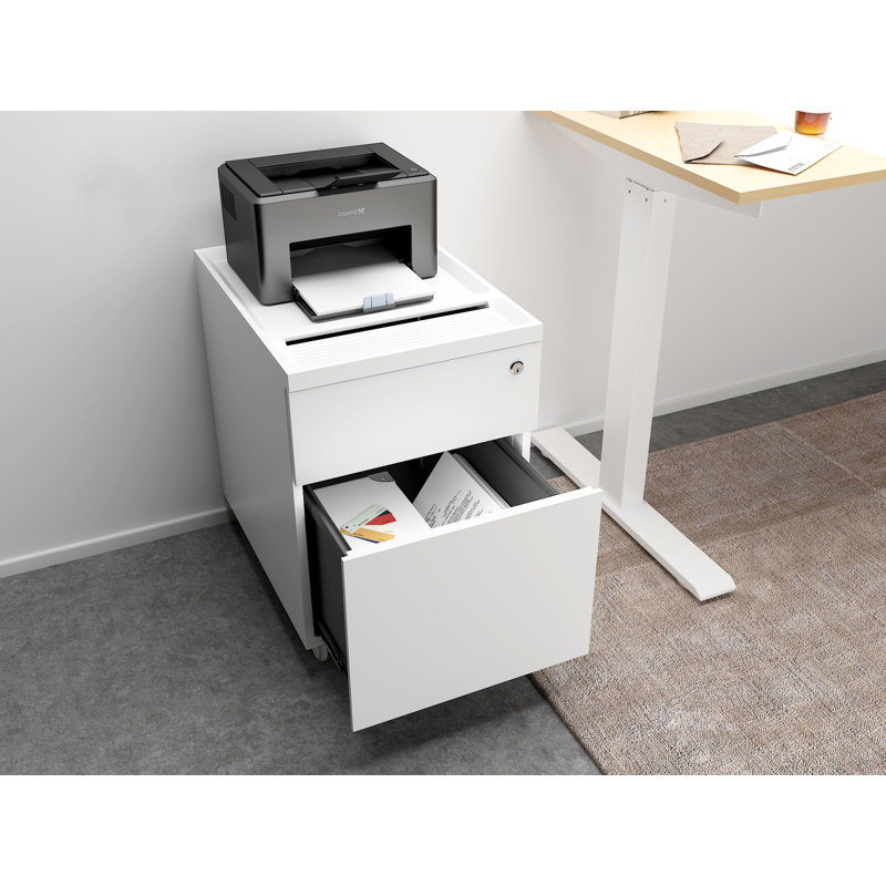 My-Hite Steel Vertical Filing Cabinet with 2 Drawers, Mobility, Secure Locks