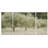 " Paintograph Olive Trees " 3 - Pieces-1418893307
