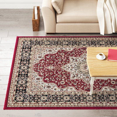 Albers Oriental Area Rug