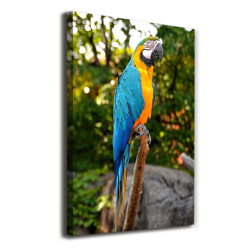 Ara Parrot - Wrapped Canvas Print