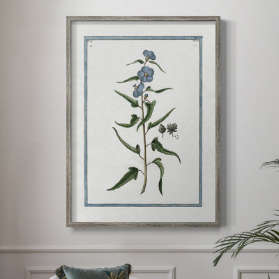 Shabby Elegance Botanical I Framed Print - Solid Wood 46719