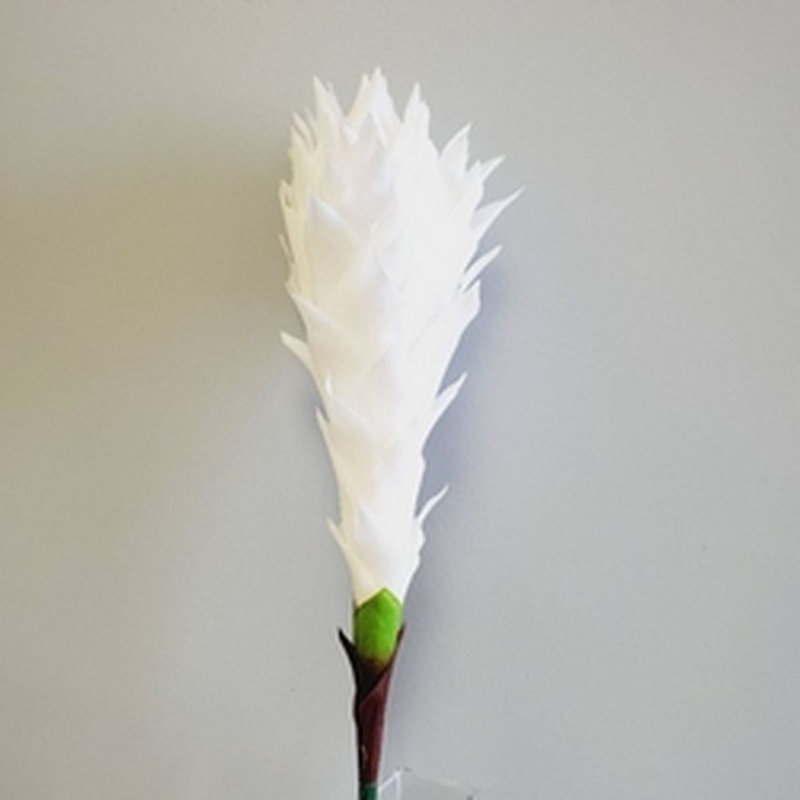 Cactus Arrangement