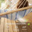 Hammock