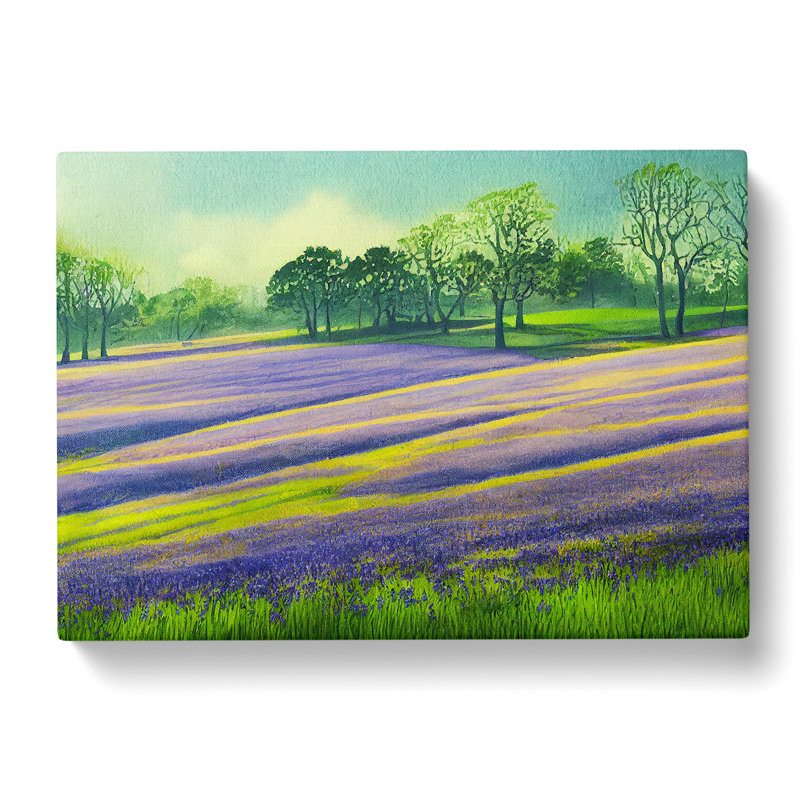 Serene Bluebell Field Vol.4 - Wrapped Canvas, 35cm H x 50cm W x 3cm D