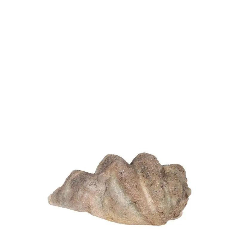 Calyce Clam Sea Shell Life Size Statue