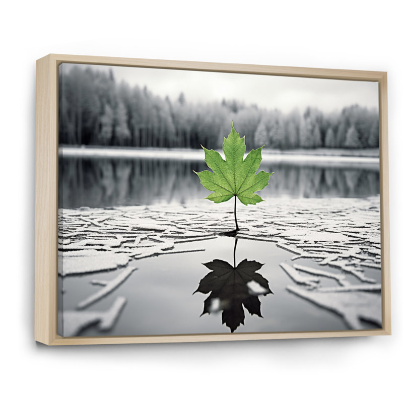 «Green Leaves Solitude In Winter I», Cadre naturel flottant, H 16 po x l 32 po x P 1 po