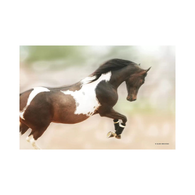 A Wild Kookie by Kari Brooks - Wrapped Canvas Print, 20.32cm H x 30.48cm W x 1.905cm D