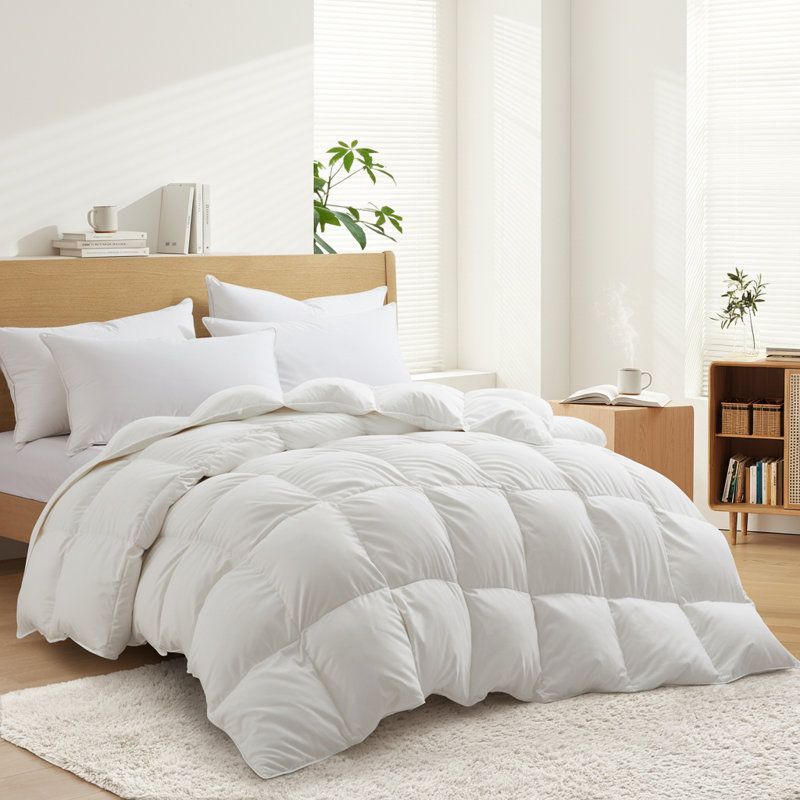 All Season Feather Fiber & Down Duvet Insert with 100% Cotton Cover, Queen