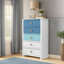 Commode à 5 tiroirs 30,7 po de largeur Bustillo-1039793216