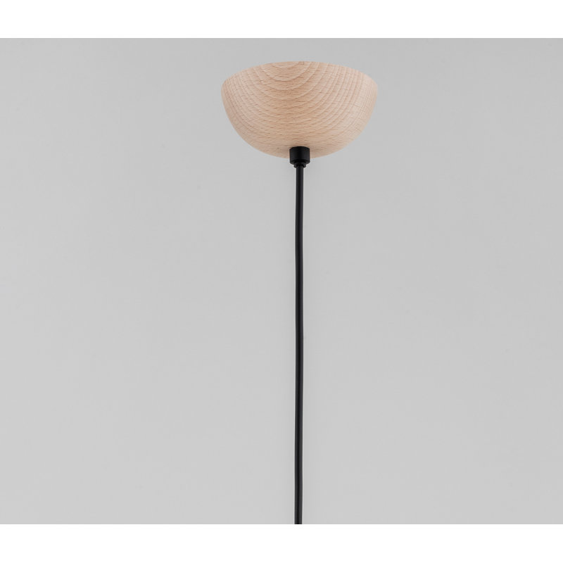 Berten - Light Sputnik Pendant, Black/White