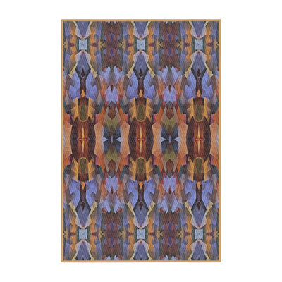 Indoor Rug