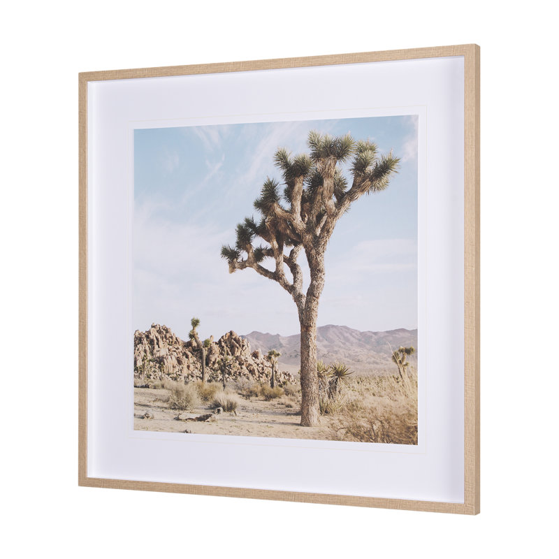 Joshua Tree 3 by THE Studio a Framed Art Print Matted under Glass