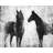 Black and White Horses Placemat | Braided Polyester Decor