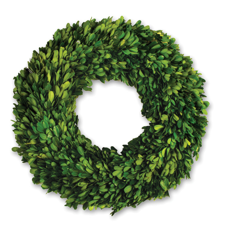 Mills Floral Preserved Boxwood Round Wreath Set with Ribbon